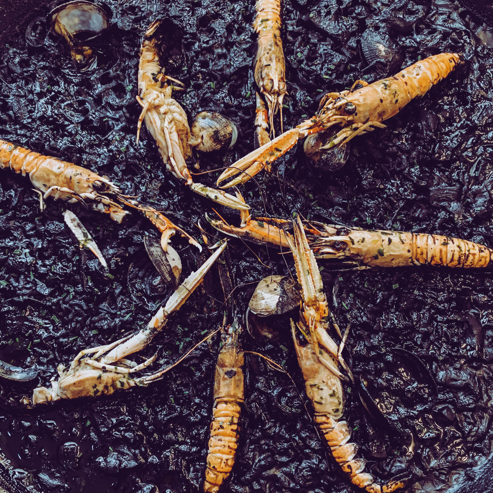 arroz negro con escamarlanes